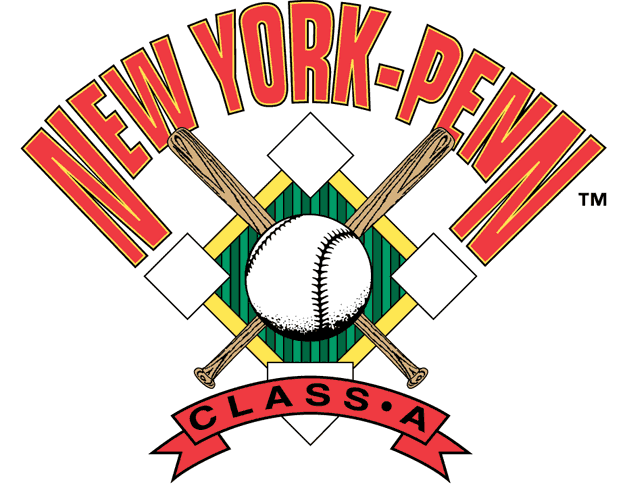 New York-Penn League 1976-2008 Primary Logo iron on paper